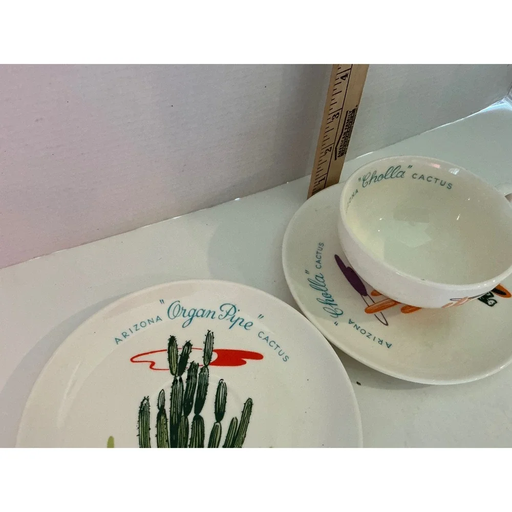 Other Brand Vintage Arizona Cactus Teacup Saucer Set Organ Pipe Cholla Desert 2p